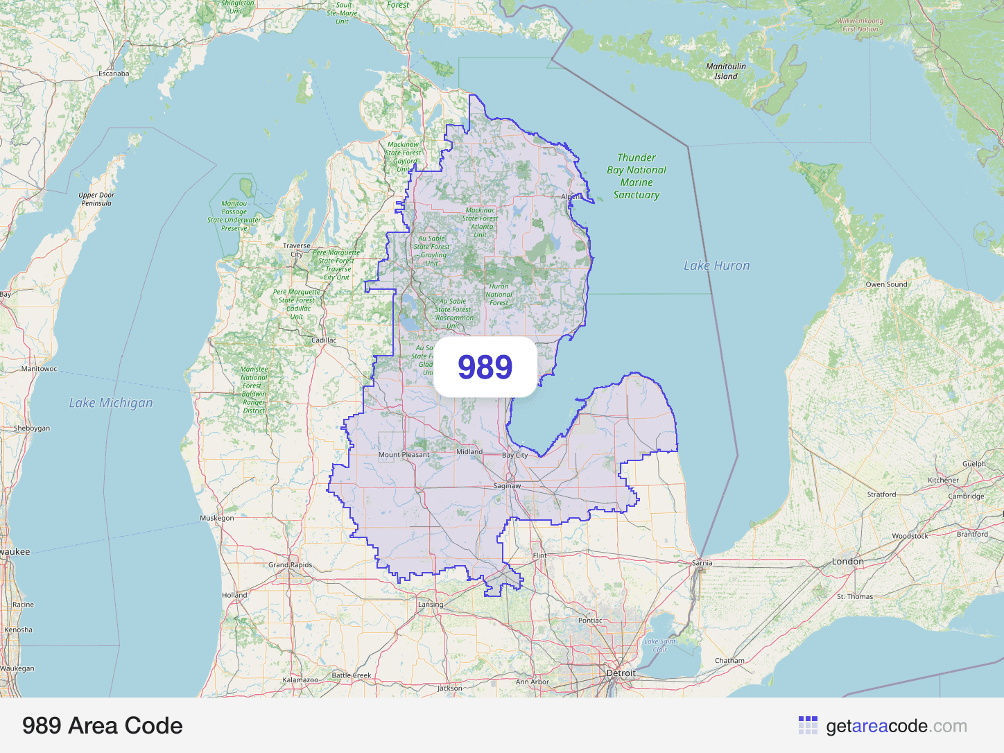 Map of the 989 area code service region around Saginaw, MI